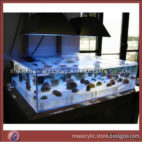 Advanced Home High Grade Acrylic Fish Tank